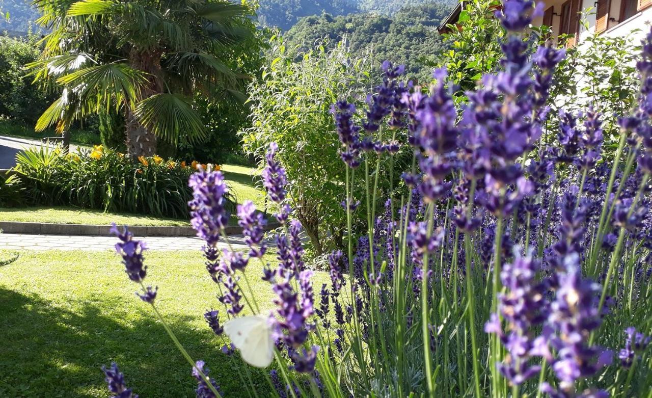 Toerggelehof Διαμέρισμα Lagundo Εξωτερικό φωτογραφία