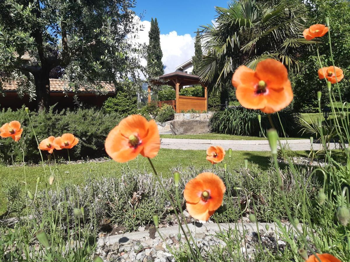 Toerggelehof Διαμέρισμα Lagundo Εξωτερικό φωτογραφία